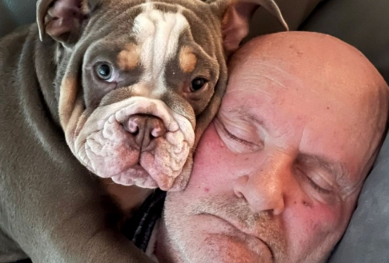 Bulldoggenwelpe knabbert Zeh seines Besitzers an – und rettet ihm damit das Leben